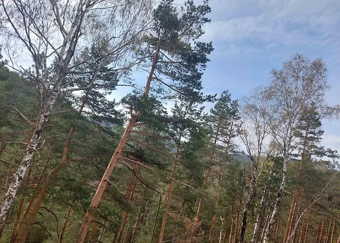 Srna, Jezero Διαμέρισμα